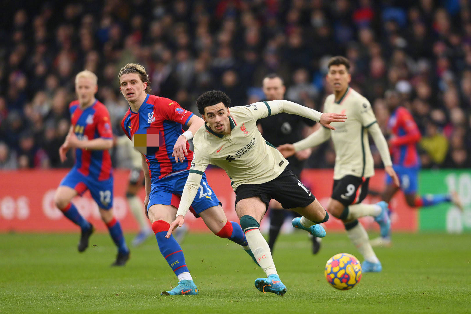 雪崩队在国 雪崩队在国