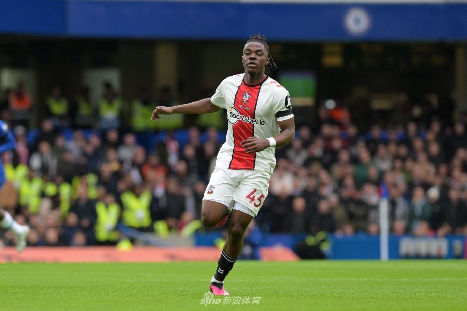 许多观众唏 许多观众唏